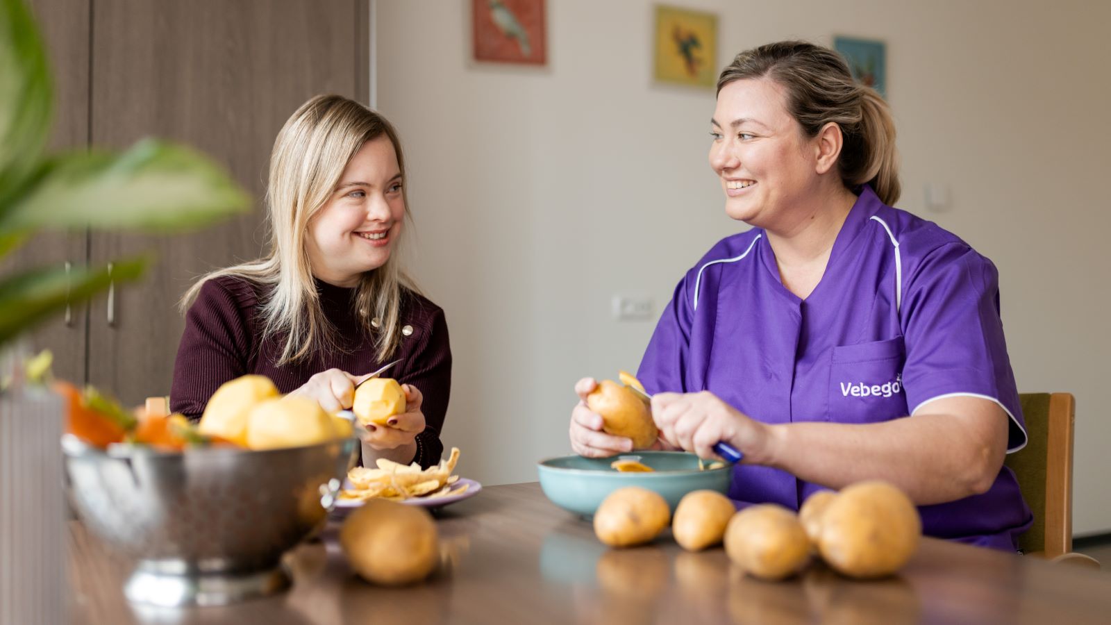 VZSNL Disability Care 01 Edited